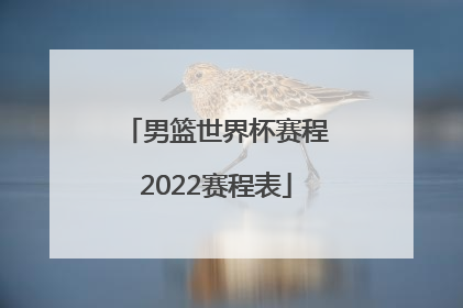 「男篮世界杯赛程2022赛程表」男篮世界杯2022赛程表中国