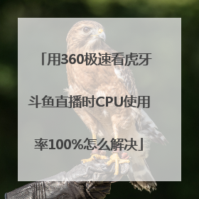 用360极速看虎牙斗鱼直播时CPU使用率100%怎么解决