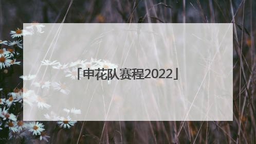「申花队赛程2022」上海申花队