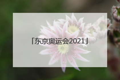 「东京奥运会2021」东京奥运会2022年举办