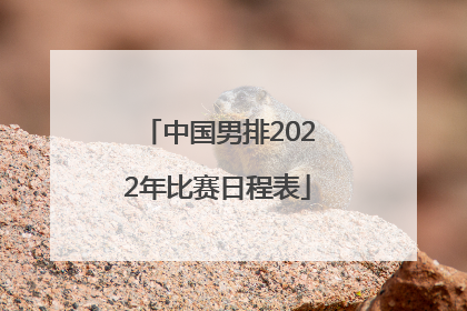 中国男排2022年比赛日程表