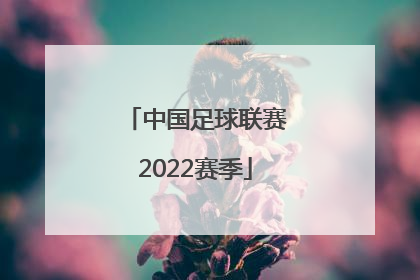 「中国足球联赛2022赛季」2022中国青少年足球联赛怎么报名
