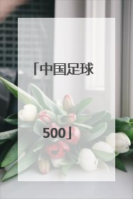 「中国足球500」中国足球500胜负彩