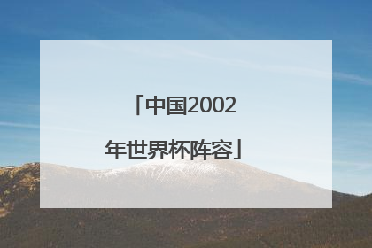 「中国2002年世界杯阵容」2002中国队世界杯阵容