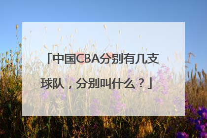 中国CBA分别有几支球队，分别叫什么？