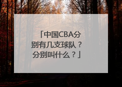 中国CBA分别有几支球队？分别叫什么？