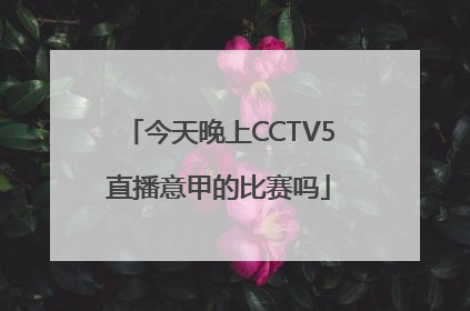今天晚上CCTV5直播意甲的比赛吗