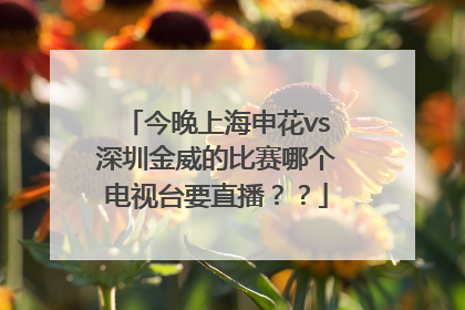 今晚上海申花vs深圳金威的比赛哪个电视台要直播？？