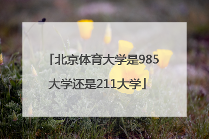 北京体育大学是985大学还是211大学