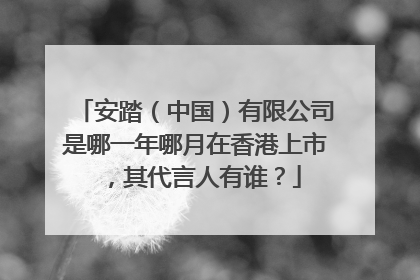 安踏（中国）有限公司是哪一年哪月在香港上市，其代言人有谁？