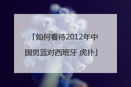 如何看待2012年中国男篮对西班牙 虎扑
