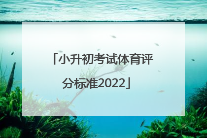 「小升初考试体育评分标准2022」广州小升初考试体育评分标准2022