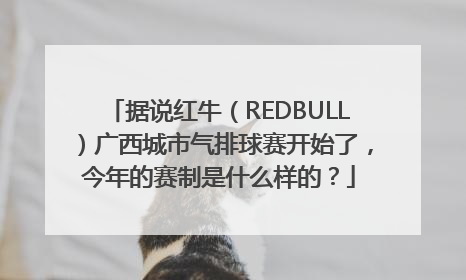 据说红牛（REDBULL）广西城市气排球赛开始了，今年的赛制是什么样的？