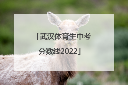 武汉体育生中考分数线2022