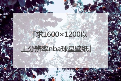 求1600×1200以上分辨率nba球星壁纸