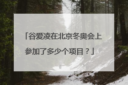谷爱凌在北京冬奥会上参加了多少个项目？