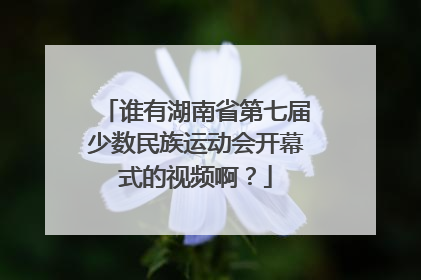 谁有湖南省第七届少数民族运动会开幕式的视频啊？
