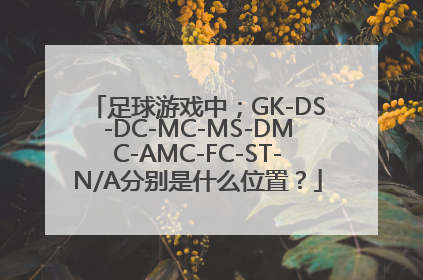 足球游戏中；GK-DS-DC-MC-MS-DMC-AMC-FC-ST-N/A分别是什么位置？