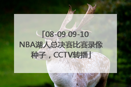 08-09 09-10NBA湖人总决赛比赛录像种子，CCTV转播