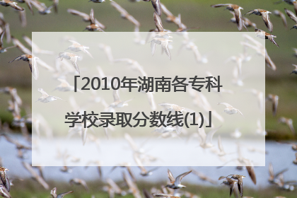 2010年湖南各专科学校录取分数线(1)