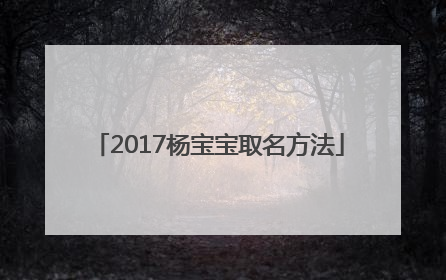 2017杨宝宝取名方法