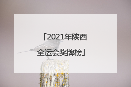 「2021年陕西全运会奖牌榜」2021年陕西全运会奖牌榜江西