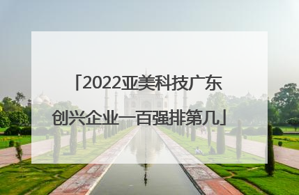 2022亚美科技广东创兴企业一百强排第几
