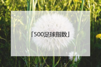 「500足球指数」华体足球指数