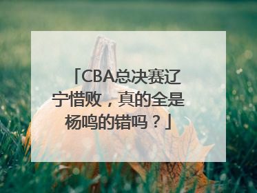 CBA总决赛辽宁惜败，真的全是杨鸣的错吗？