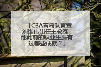 CBA青岛队官宣刘维伟出任主教练，他此前的职业生涯有过哪些成就？