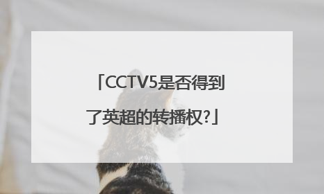 CCTV5是否得到了英超的转播权?
