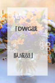 「DWG战队成员」dwg战队成员资料