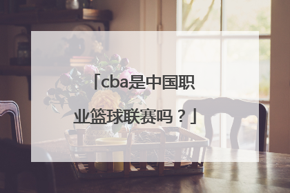 cba是中国职业篮球联赛吗？