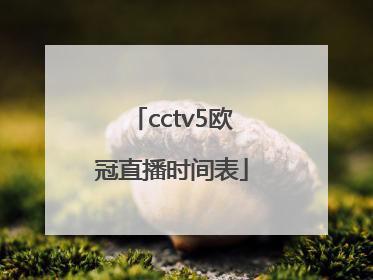 cctv5欧冠直播时间表