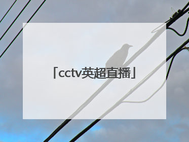 「cctv英超直播」cctv转播英超