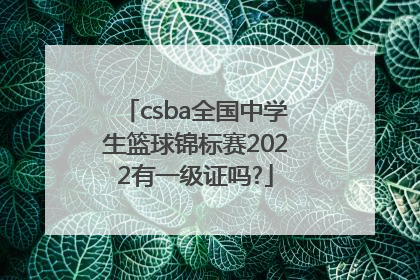 csba全国中学生篮球锦标赛2022有一级证吗?