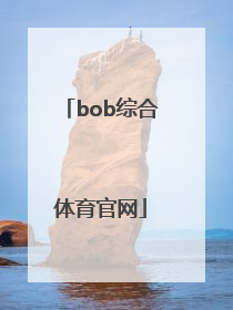 「bob综合体育官网」bob综合体育官网网址