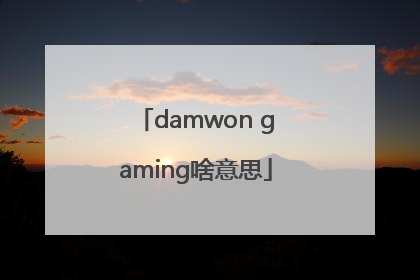 damwon gaming啥意思