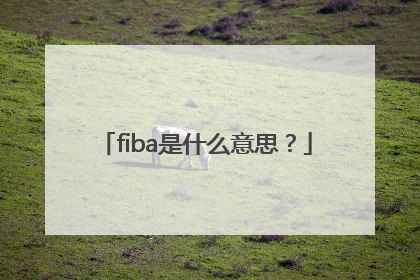 fiba是什么意思？