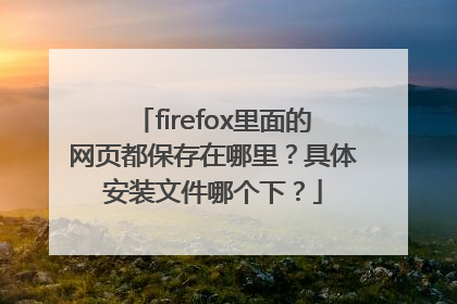 firefox里面的网页都保存在哪里？具体安装文件哪个下？