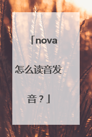 nova怎么读音发音？