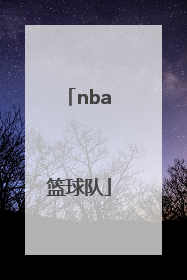 「nba篮球队」nba篮球队队名大全