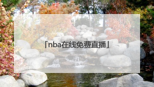 「nba在线免费直播」团体类运动项目
