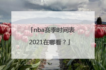 nba赛季时间表2021在哪看？