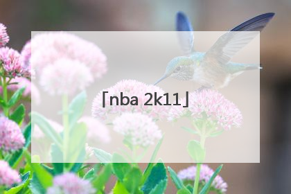 「nba 2k11」nba2k11手机版中文版下载