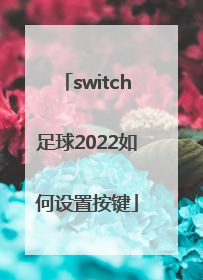 switch足球2022如何设置按键