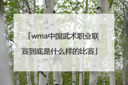 wma中国武术职业联赛到底是什么样的比赛