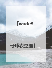 「wade3号球衣是谁」wade3号球衣多少钱