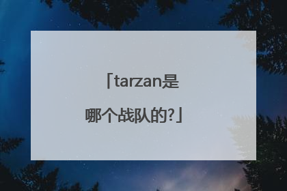 tarzan是哪个战队的?